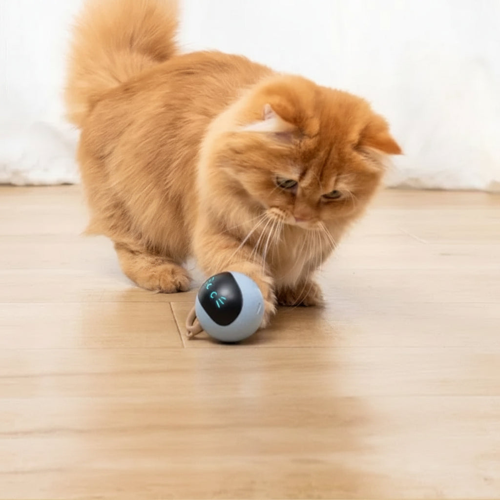 Pelota inteligente para gatos