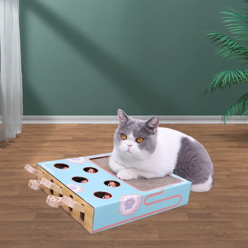 Juego interactivo 3 en 1 gato pensante