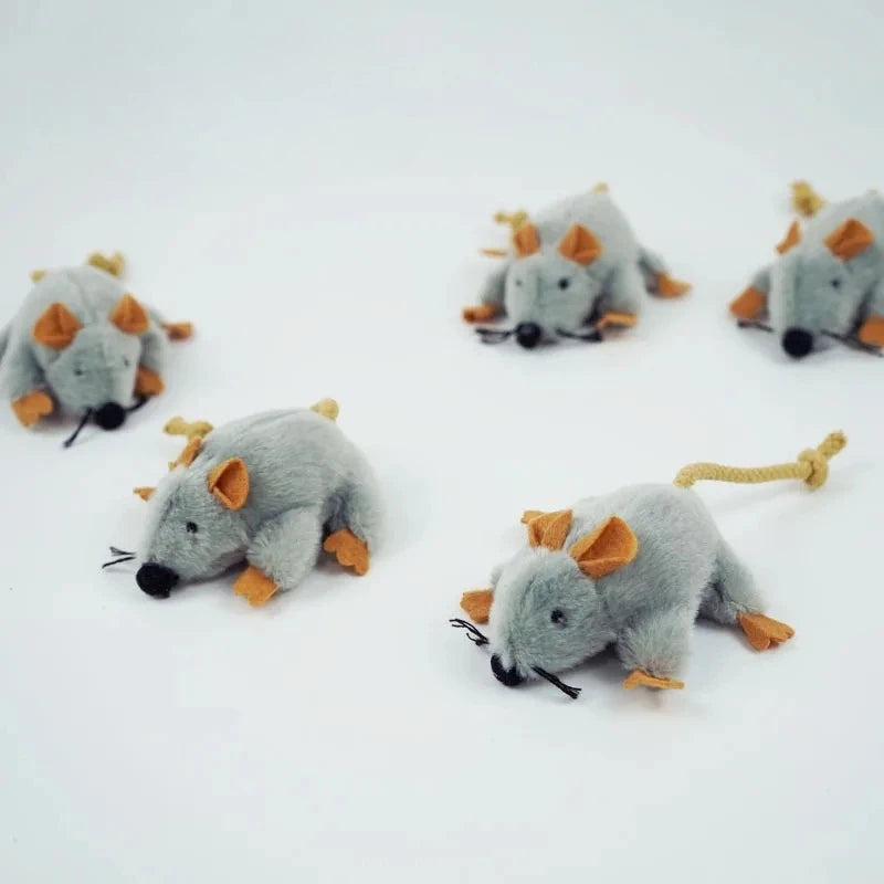 Ratita cats