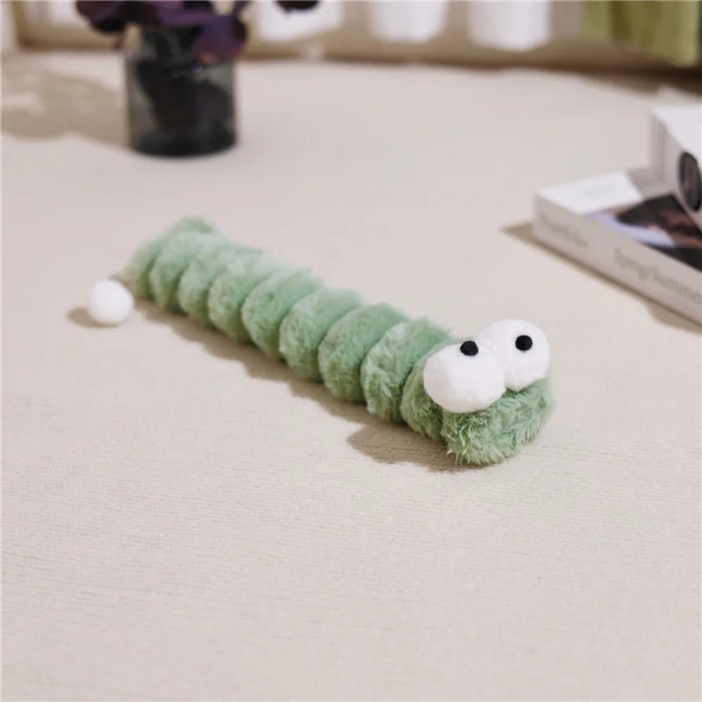 Cat oruga