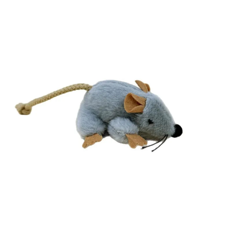 Ratita cats