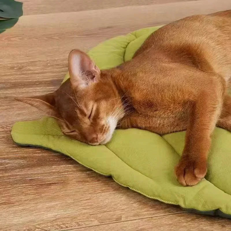 Cama de gato en forma de hoja