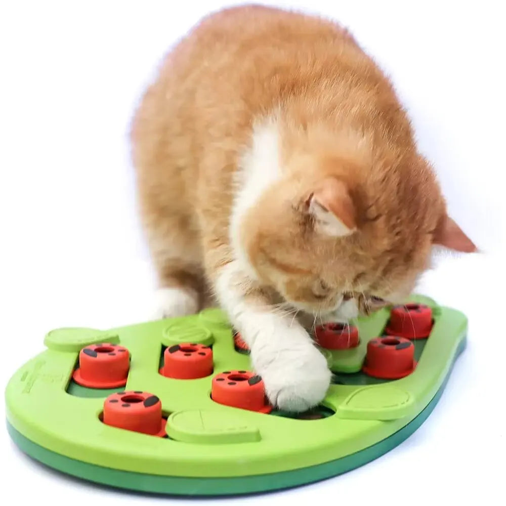 Puzzle interactivo para gatos