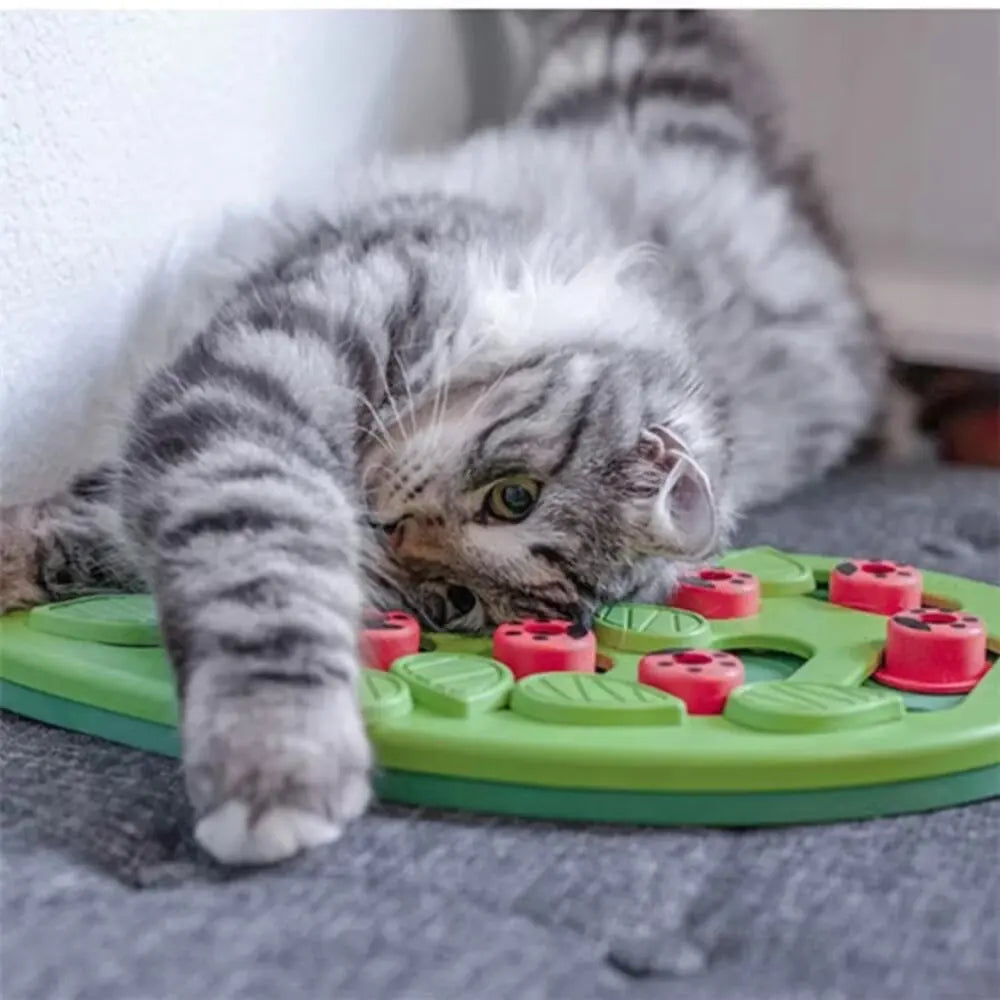 Puzzle interactivo para gatos