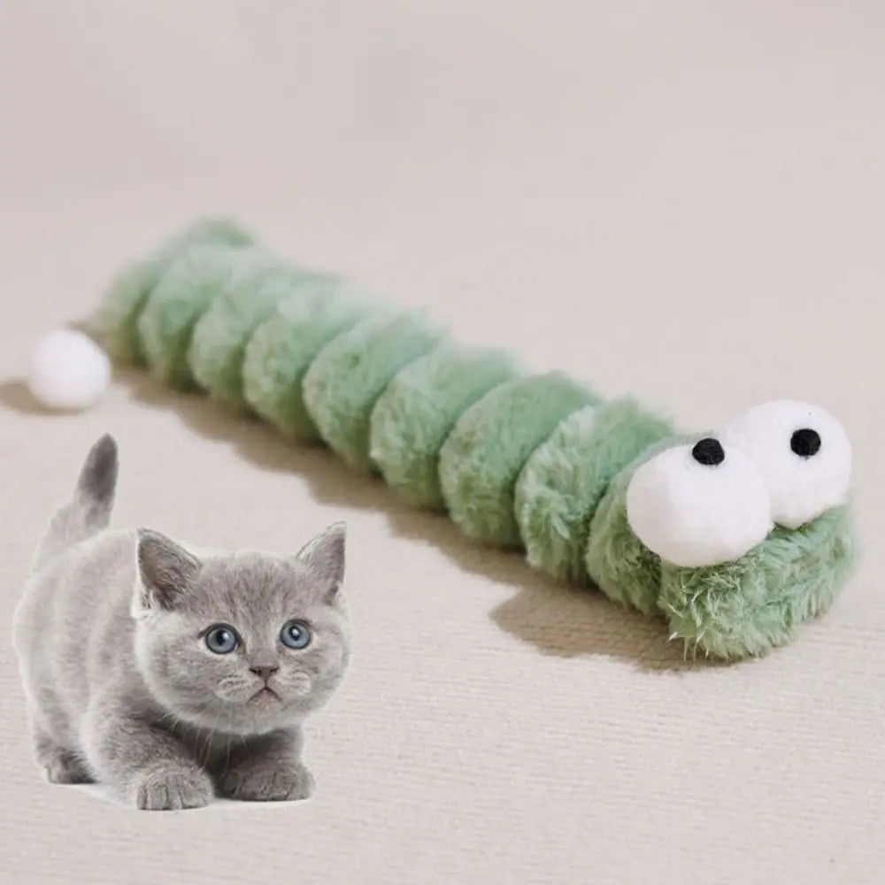 Cat oruga