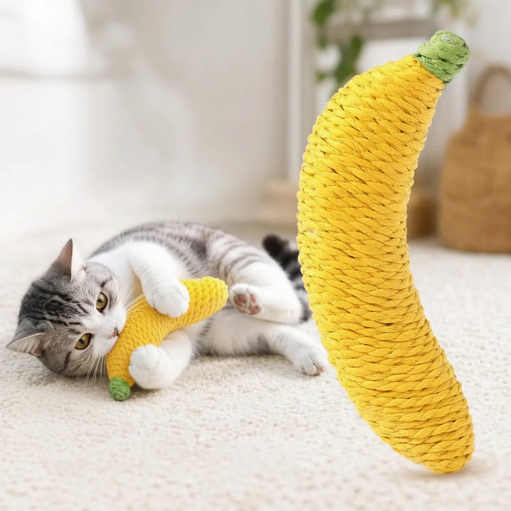 Banana natural para gatos