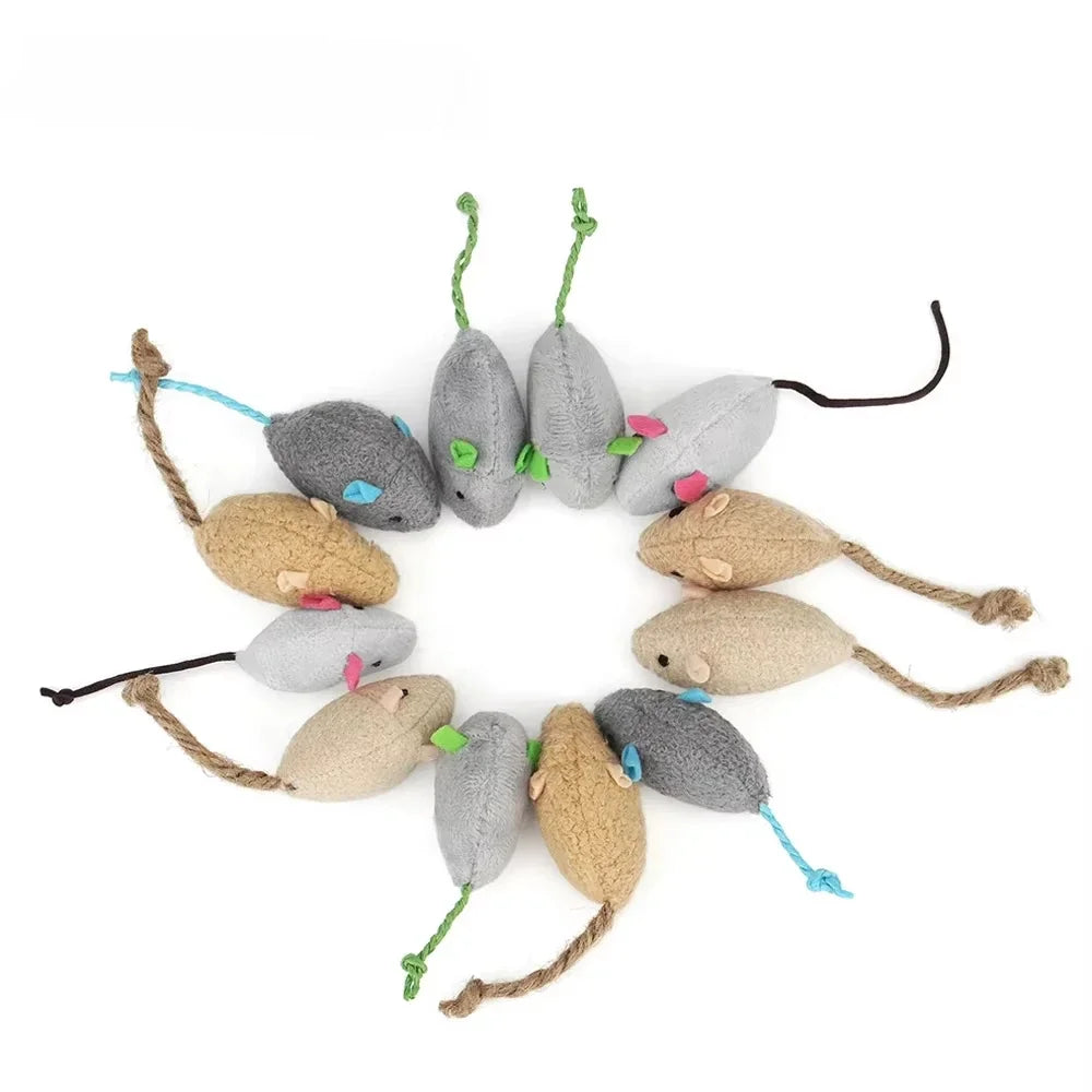 5pcs Ratitas
