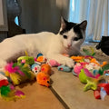 Pack 14 Juguetes para Gato Variados