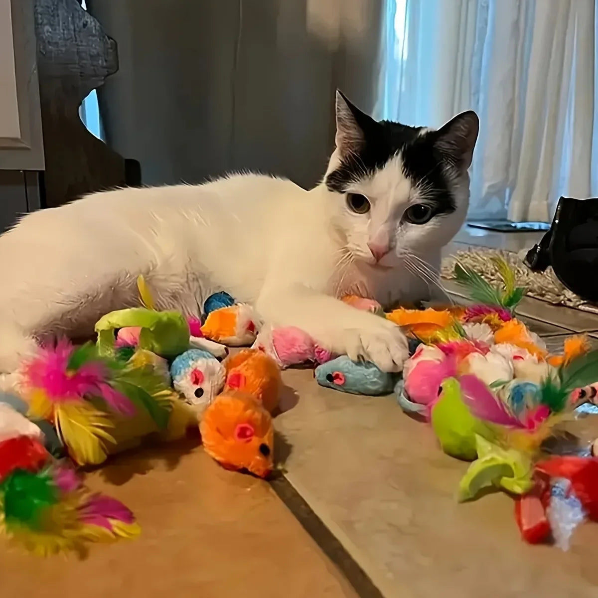 Pack 14 Juguetes para Gato Variados