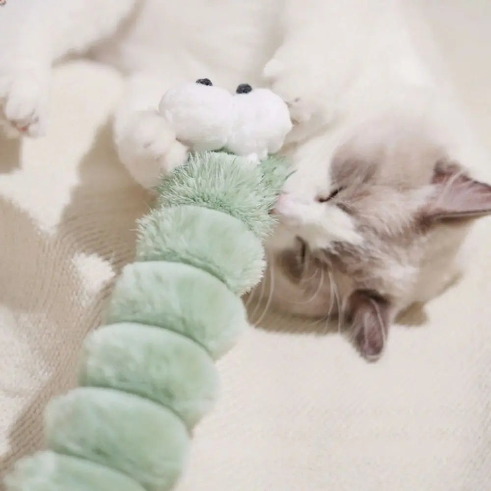 Cat oruga