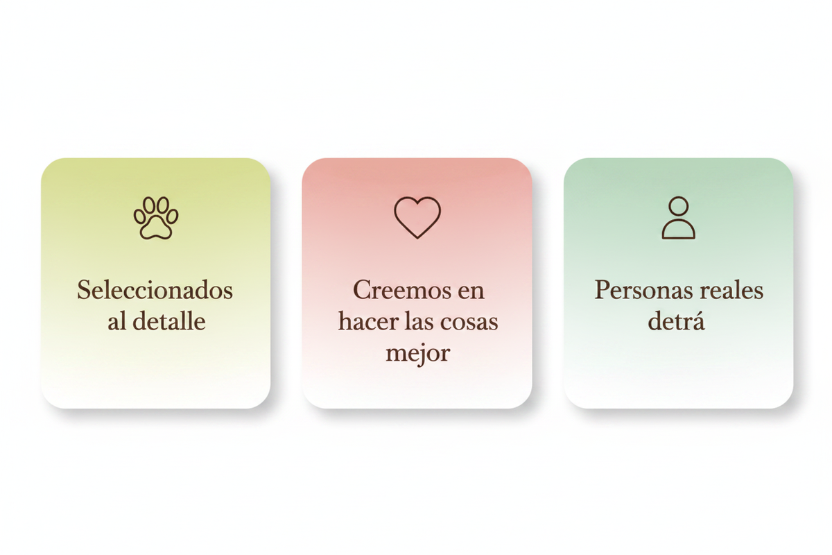 Tres tarjetas con degradado limpio corregidas
